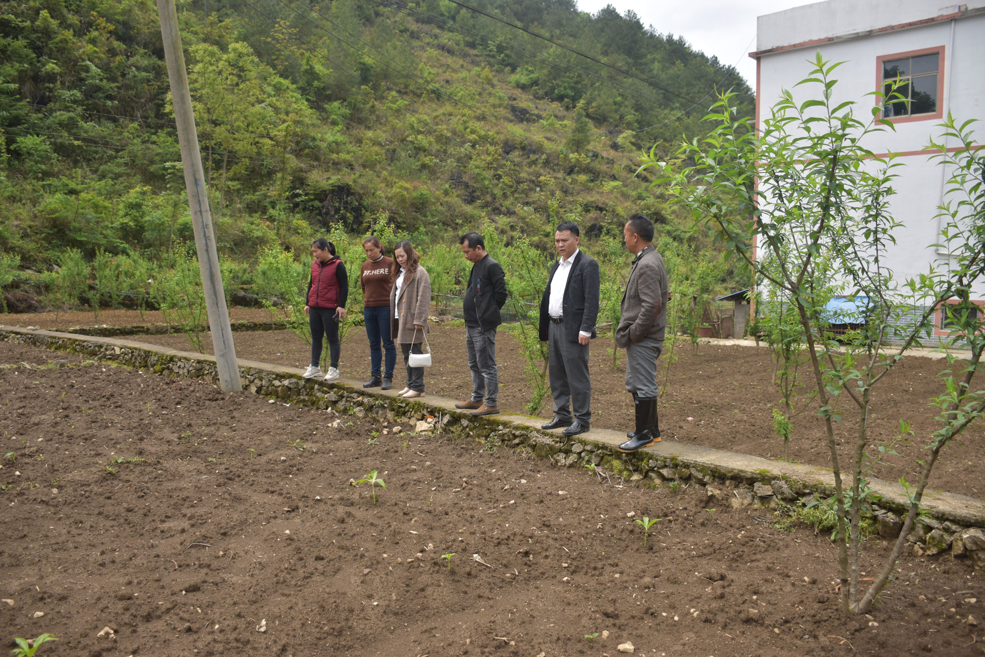 到聯(lián)系村沫陽董架村生姜基地開展實地調(diào)研